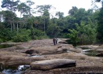 <p> The end point. These flat stones are supposedly frequented by hippos. We did not see any (wrong season, thankfully), but I got a gorgeous <i> Protogoniomorpha </i> not 10m from here.</p>